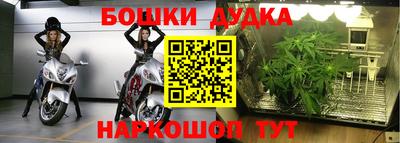 прущие грибы Бугуруслан