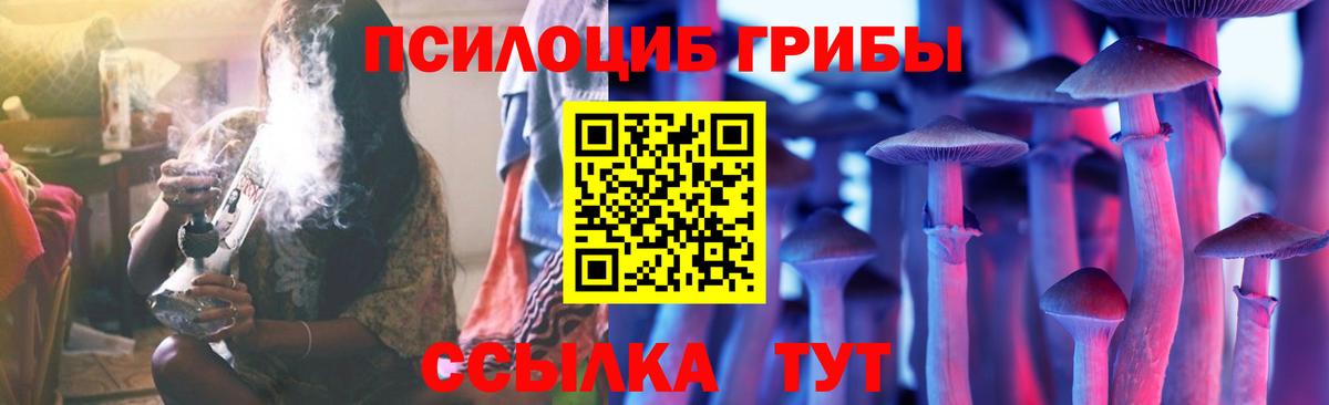 Псилоцибиновые грибы Psilocybine cubensis  Вход с VPN  Глазов  Галлюциногенные грибы MAGIC MUSHROOMS 